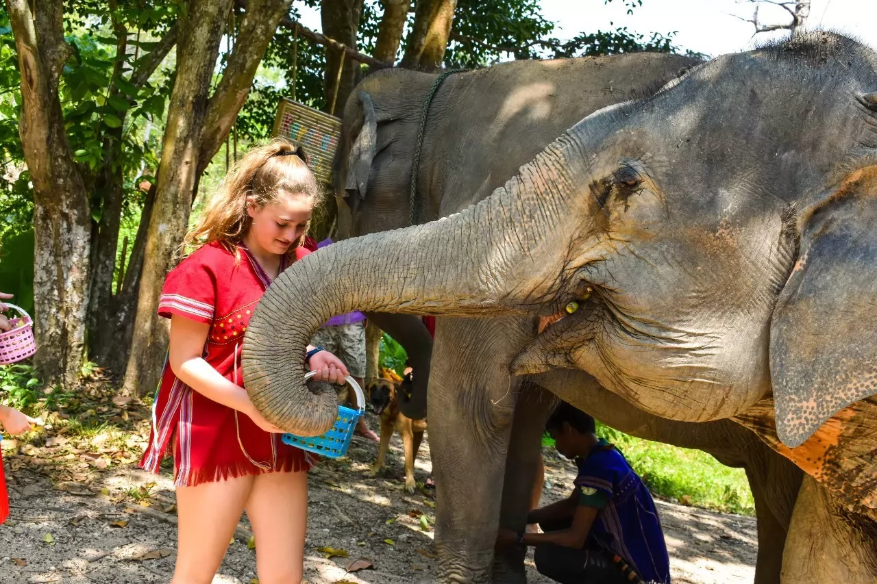 Elephant sanctuary