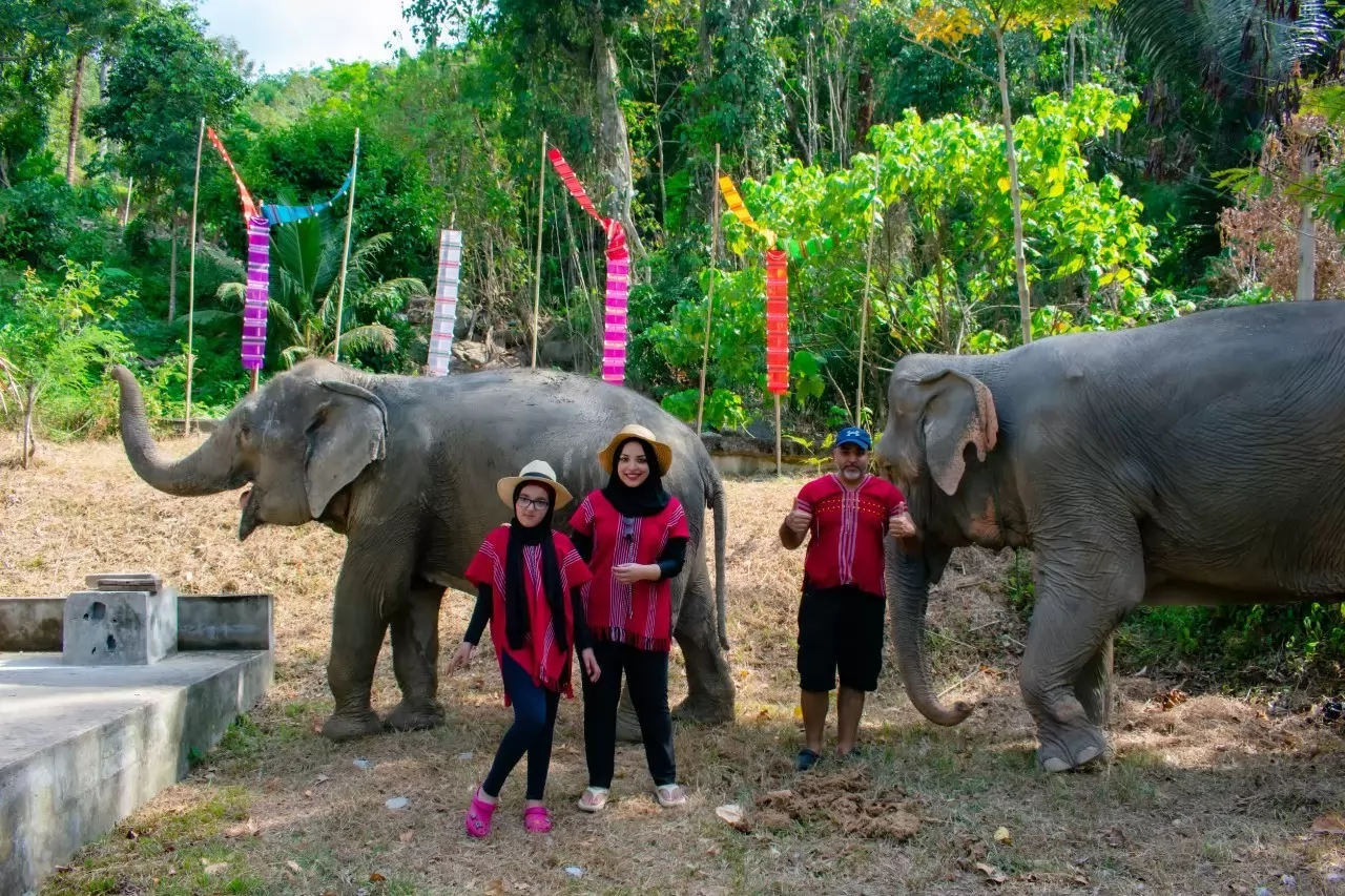 Elephant sanctuary