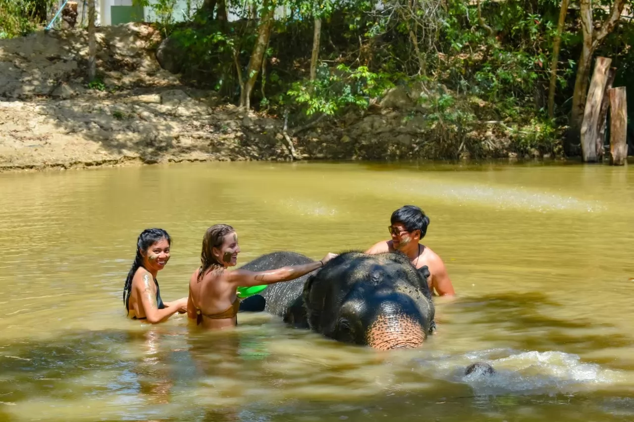 Elephant sanctuary