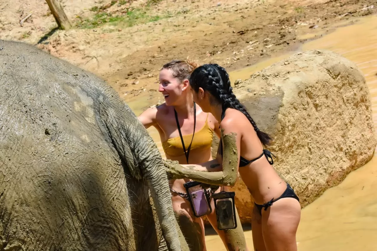Elephant sanctuary