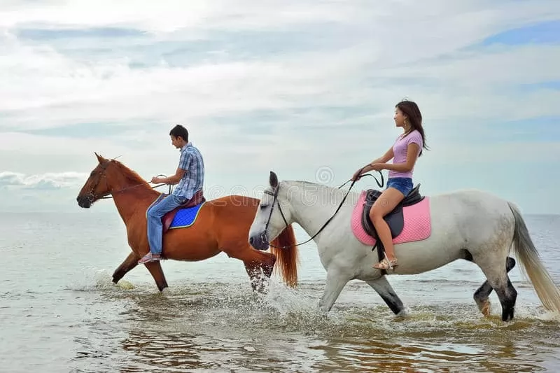 horse riding