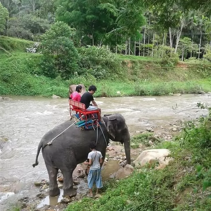 Rafting safari
