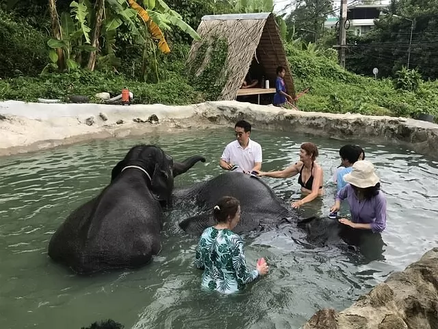 Elephant trekking