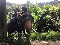 Khaolak safari