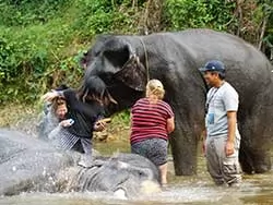 Khaolak safari